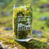 Blue Ridge Parkway Can Pint Glass