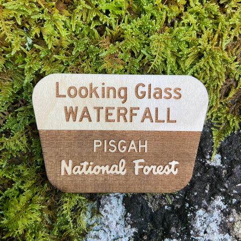 Looking Glass Waterfall Magnet